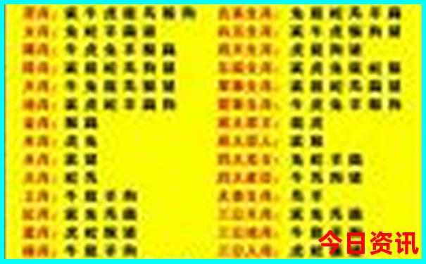 澳门六会彩开奖结果